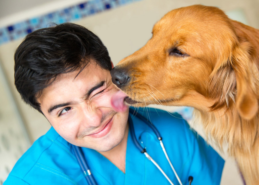 Join our Healthcare Scheme