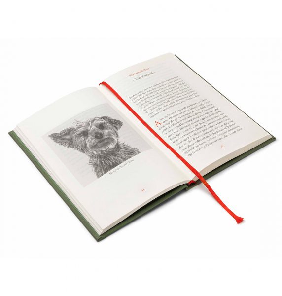 On Dogs: An Anthology