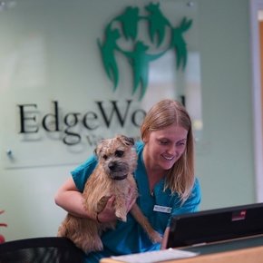 Managing cat and dog obesity