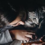 Apps to shape up your cat’s abs