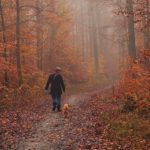 Make sure you don’t over walk your dog