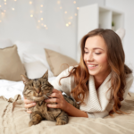 Cat care 101 – how to take care of a cat