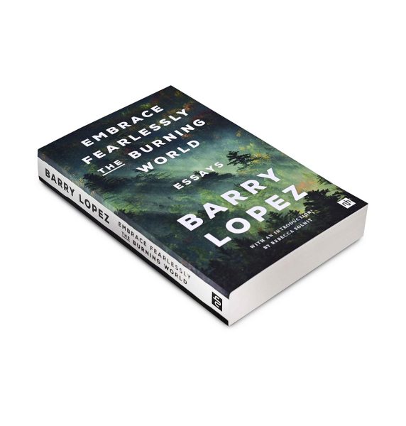Embrace Fearlessly the Burning World: Essays