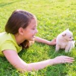 7 top tips for getting a new puppy or kitten this summer in Essex