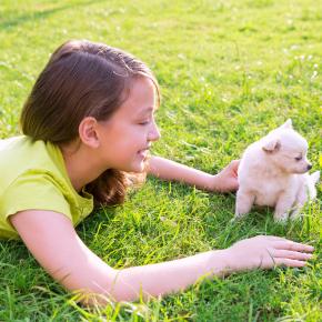 7 top tips for getting a new puppy or kitten this summer in Essex