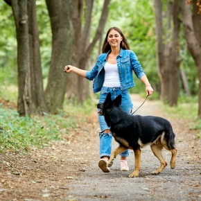 Make Every Dog Walk an Adventure with These Ideas