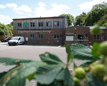 Edgewood Veterinary Group joins Linnaeus