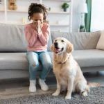 Can pets catch a cold or get the flu?