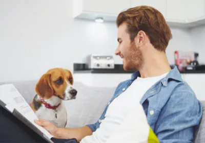 Importance of pet insurance